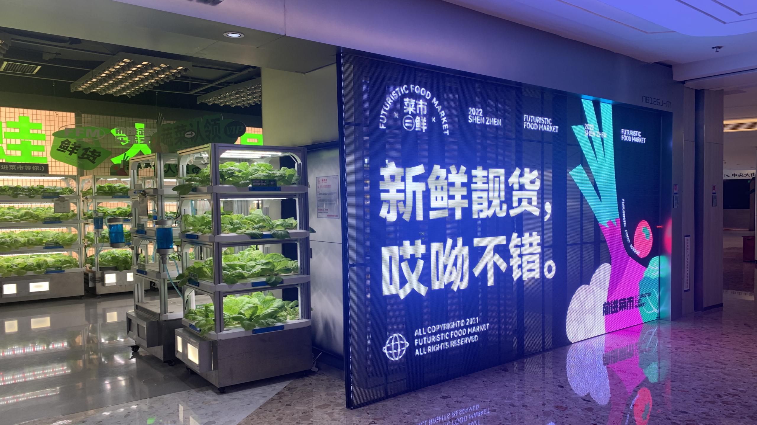 Litop-TH Series Indoor Transparent LED Display-2025_07.jpg